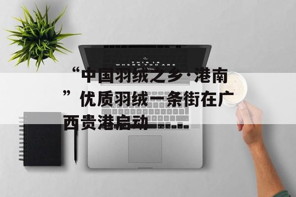 “中国羽绒之乡·港南”优质羽绒一条街在广西贵港启动-第1张图片-