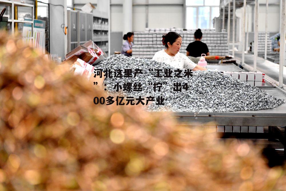 河北这里产“工业之米”：小螺丝“拧”出400多亿元大产业-第1张图片-