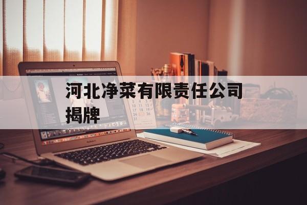 河北净菜有限责任公司揭牌-第1张图片-