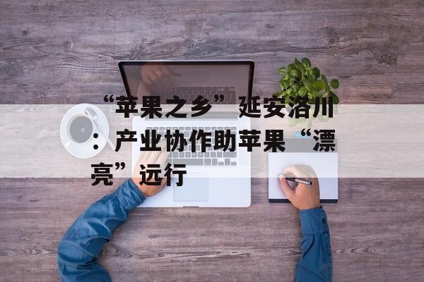 “苹果之乡”延安洛川：产业协作助苹果“漂亮”远行-第1张图片-