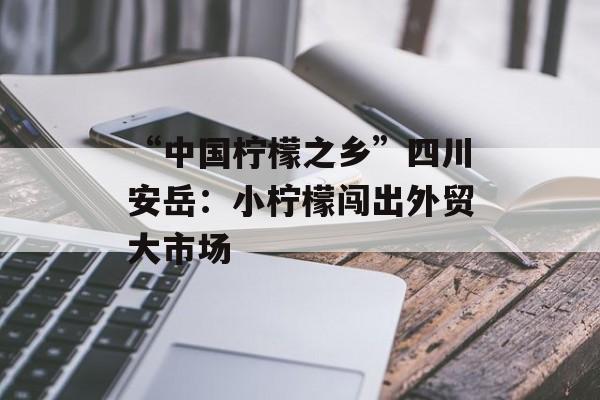 “中国柠檬之乡”四川安岳：小柠檬闯出外贸大市场-第1张图片-