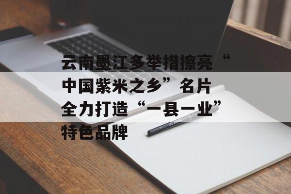 云南墨江多举措擦亮“中国紫米之乡”名片 全力打造“一县一业”特色品牌-第1张图片-
