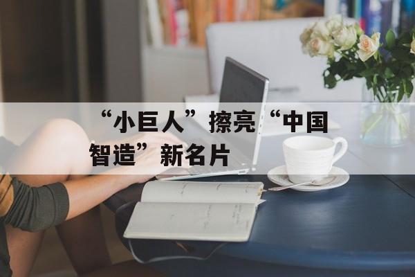 “小巨人”擦亮“中国智造”新名片-第1张图片-