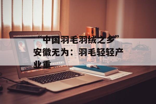 “中国羽毛羽绒之乡”安徽无为：羽毛轻轻产业重-第1张图片-