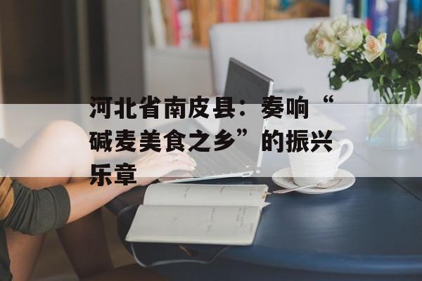河北省南皮县：奏响“碱麦美食之乡”的振兴乐章-第1张图片-