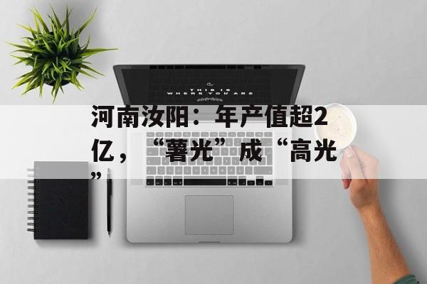 河南汝阳：年产值超2亿，“薯光”成“高光”-第1张图片-