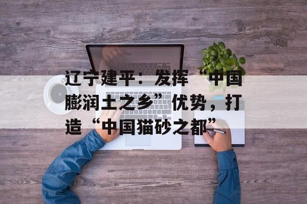 辽宁建平：发挥“中国膨润土之乡”优势，打造“中国猫砂之都”-第1张图片-