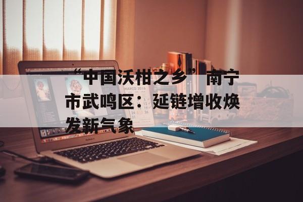 “中国沃柑之乡”南宁市武鸣区：延链增收焕发新气象-第1张图片-