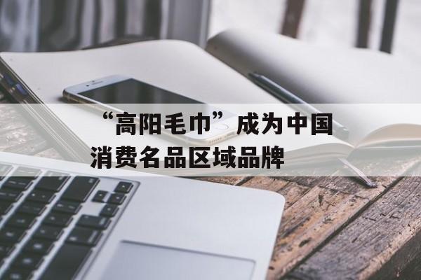 “高阳毛巾”成为中国消费名品区域品牌-第1张图片-