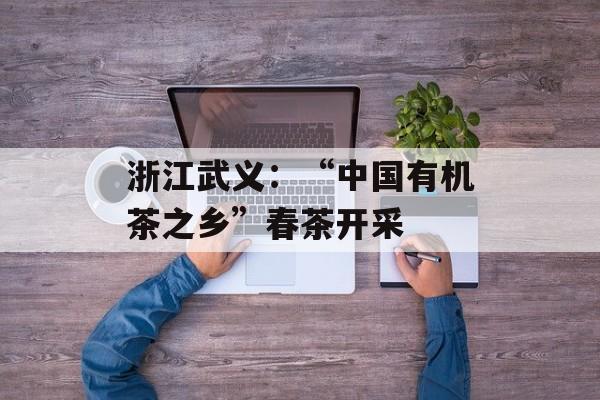 浙江武义：“中国有机茶之乡”春茶开采-第1张图片-