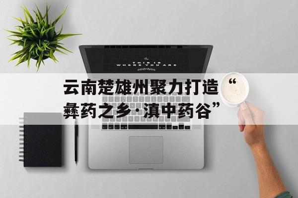 云南楚雄州聚力打造“彝药之乡·滇中药谷”-第1张图片-