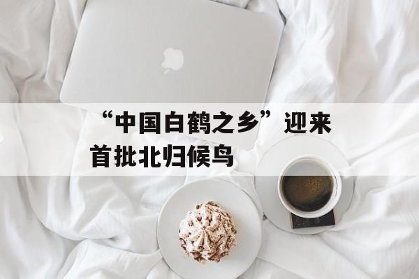 “中国白鹤之乡”迎来首批北归候鸟-第1张图片-