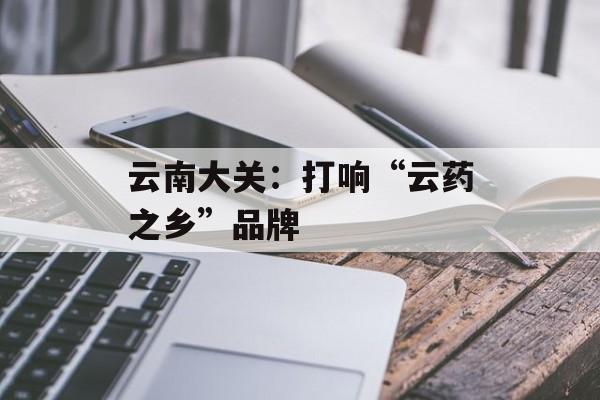 云南大关：打响“云药之乡”品牌-第1张图片-
