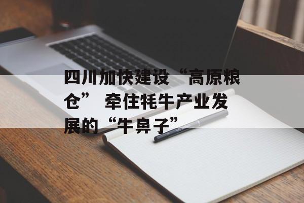 四川加快建设“高原粮仓” 牵住牦牛产业发展的“牛鼻子”-第1张图片-