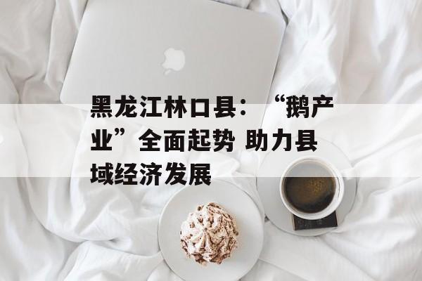 黑龙江林口县：“鹅产业”全面起势 助力县域经济发展-第1张图片-