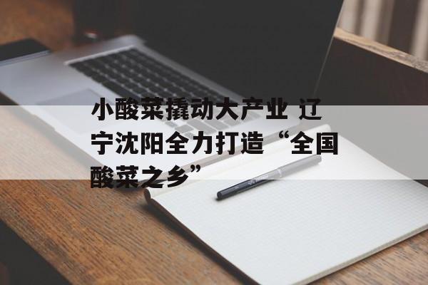 小酸菜撬动大产业 辽宁沈阳全力打造“全国酸菜之乡”-第1张图片-