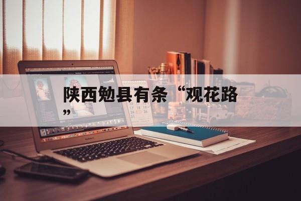 陕西勉县有条“观花路”-第1张图片-