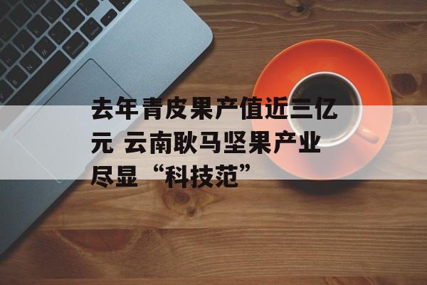 去年青皮果产值近三亿元 云南耿马坚果产业尽显“科技范”-第1张图片-