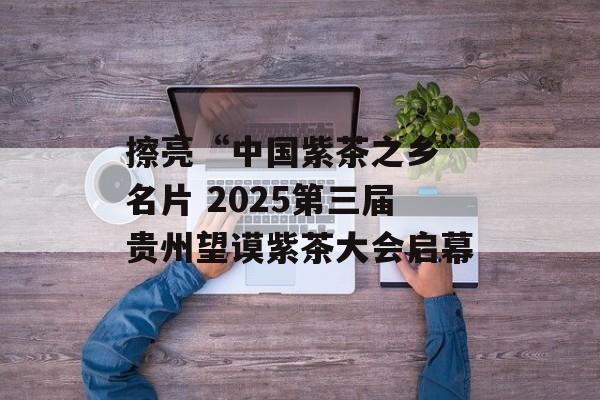 擦亮“中国紫茶之乡”名片 2025第三届贵州望谟紫茶大会启幕-第1张图片-
