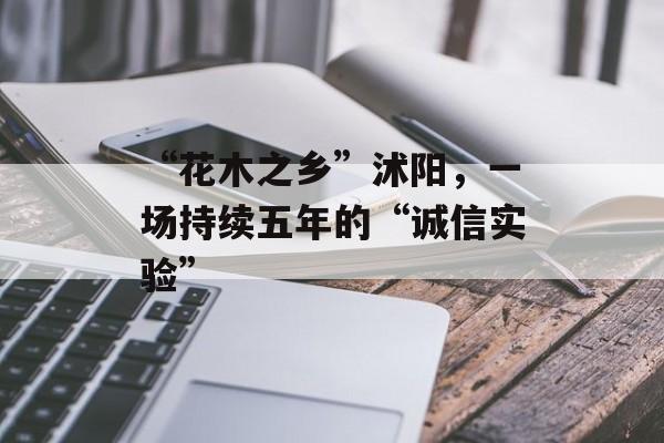 “花木之乡”沭阳，一场持续五年的“诚信实验”-第1张图片-