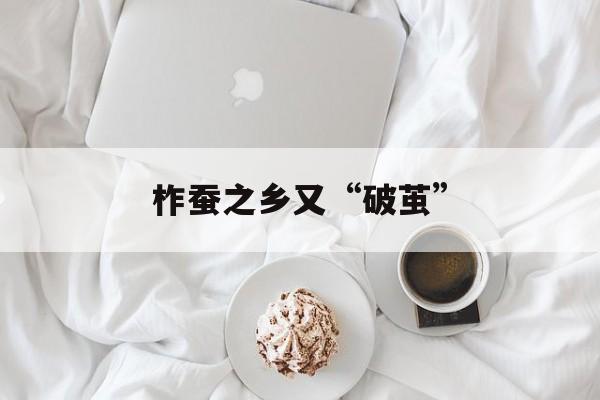 柞蚕之乡又“破茧”-第1张图片-