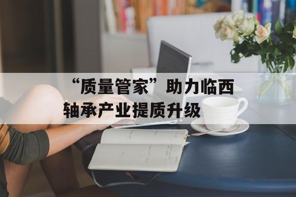 “质量管家”助力临西轴承产业提质升级-第1张图片-