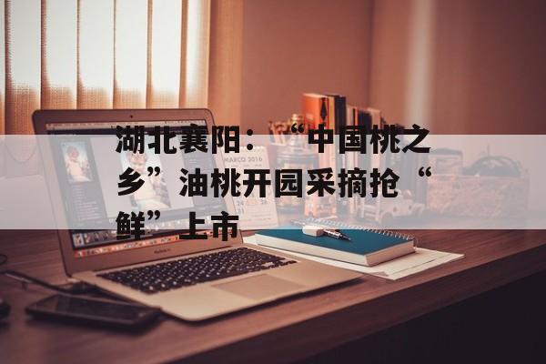 湖北襄阳：“中国桃之乡”油桃开园采摘抢“鲜”上市-第1张图片-