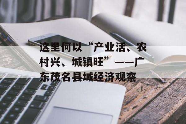 这里何以“产业活、农村兴、城镇旺”——广东茂名县域经济观察-第1张图片-