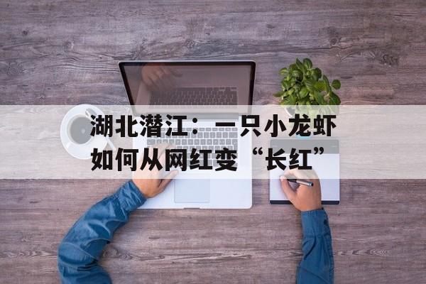 湖北潜江：一只小龙虾如何从网红变“长红”-第1张图片-