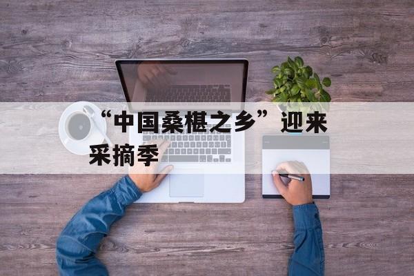 “中国桑椹之乡”迎来采摘季-第1张图片-