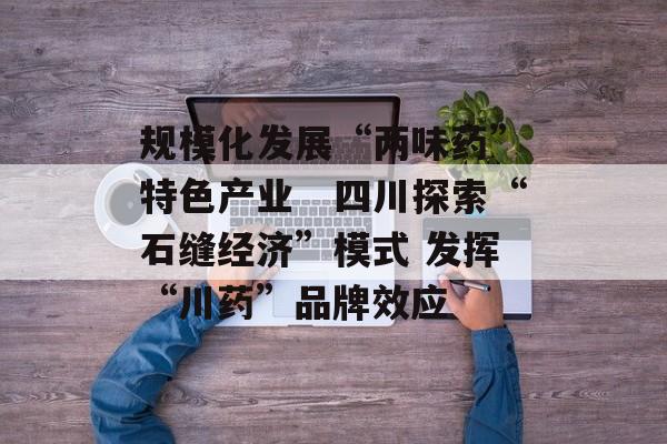 规模化发展“两味药”特色产业　四川探索“石缝经济”模式 发挥“川药”品牌效应-第1张图片-
