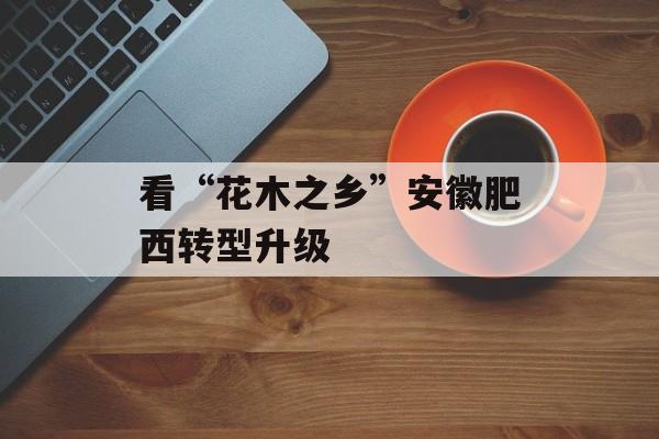 看“花木之乡”安徽肥西转型升级-第1张图片-