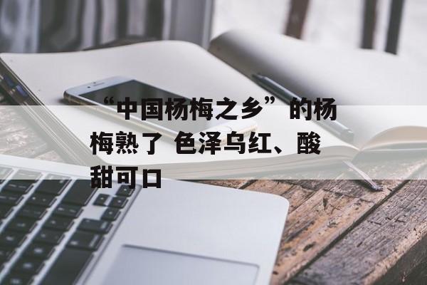 “中国杨梅之乡”的杨梅熟了 色泽乌红、酸甜可口-第1张图片-