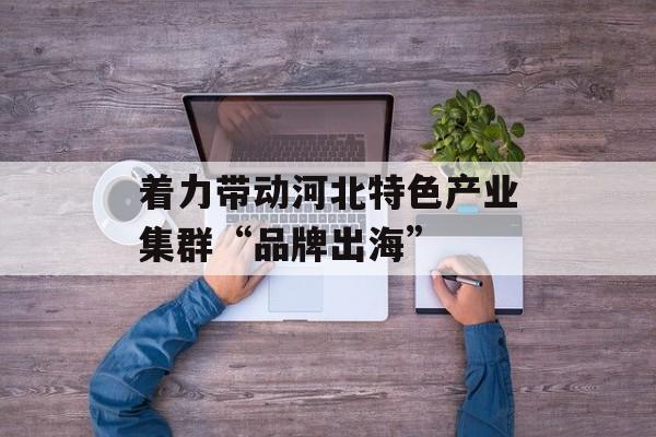 着力带动河北特色产业集群“品牌出海”-第1张图片-