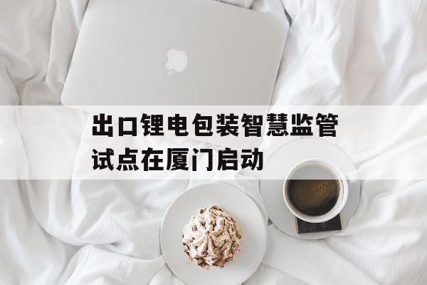 出口锂电包装智慧监管试点在厦门启动-第1张图片-