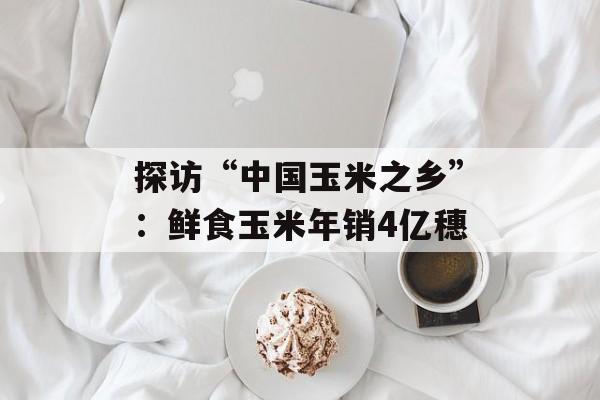 探访“中国玉米之乡”：鲜食玉米年销4亿穗-第1张图片-