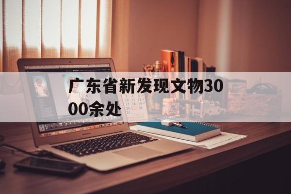广东省新发现文物3000余处-第1张图片-