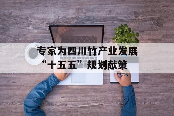 专家为四川竹产业发展“十五五”规划献策-第1张图片-