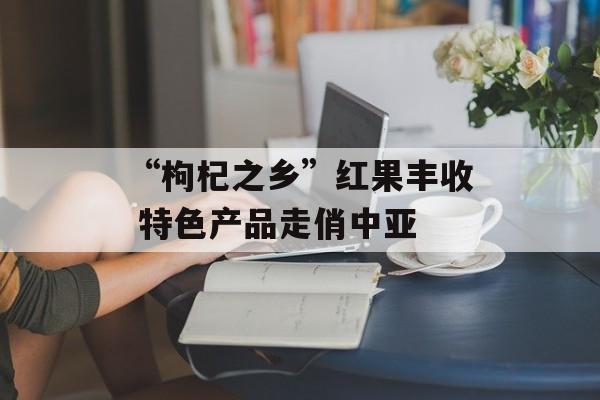 “枸杞之乡”红果丰收 特色产品走俏中亚-第1张图片-