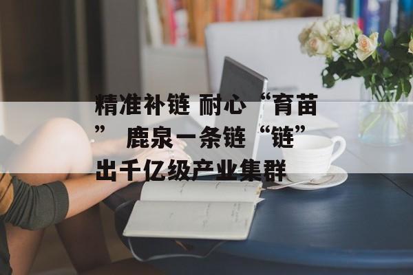 精准补链 耐心“育苗” 鹿泉一条链“链”出千亿级产业集群-第1张图片-