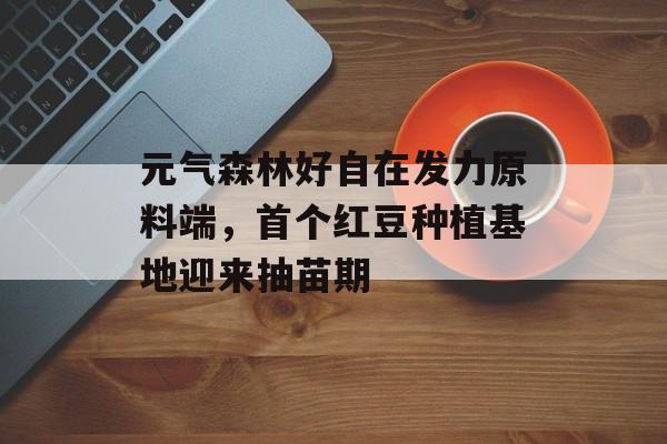 元气森林好自在发力原料端，首个红豆种植基地迎来抽苗期-第1张图片-