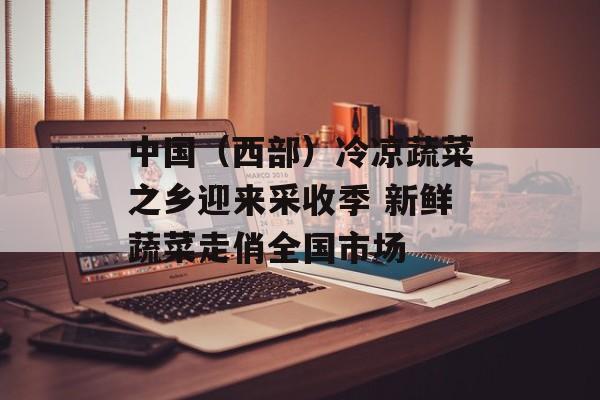 中国（西部）冷凉蔬菜之乡迎来采收季 新鲜蔬菜走俏全国市场-第1张图片-