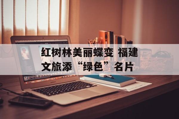 红树林美丽蝶变 福建文旅添“绿色”名片-第1张图片-