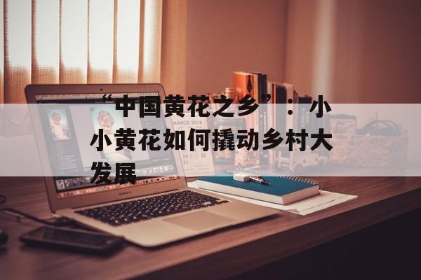 “中国黄花之乡”：小小黄花如何撬动乡村大发展-第1张图片-