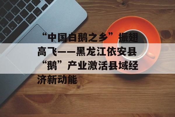 “中国白鹅之乡”振翅高飞——黑龙江依安县“鹅”产业激活县域经济新动能-第1张图片-