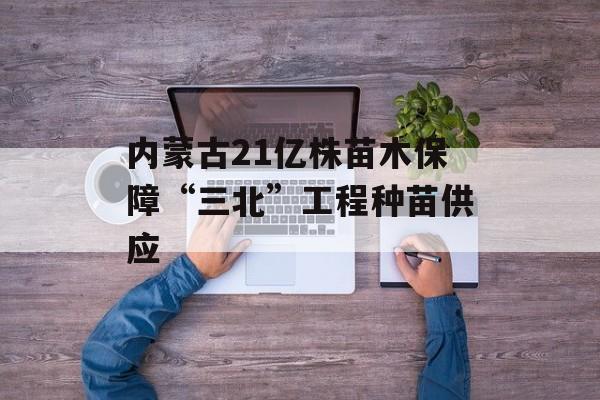 内蒙古21亿株苗木保障“三北”工程种苗供应-第1张图片-