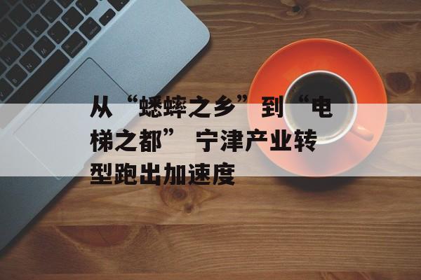 从“蟋蟀之乡”到“电梯之都” 宁津产业转型跑出加速度-第1张图片-
