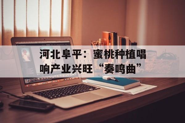 河北阜平：蜜桃种植唱响产业兴旺“奏鸣曲”-第1张图片-