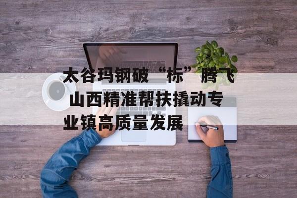 太谷玛钢破“标”腾飞 山西精准帮扶撬动专业镇高质量发展-第1张图片-