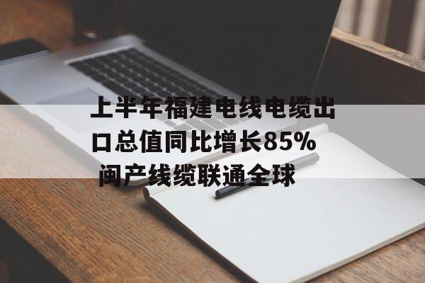 上半年福建电线电缆出口总值同比增长85% 闽产线缆联通全球-第1张图片-